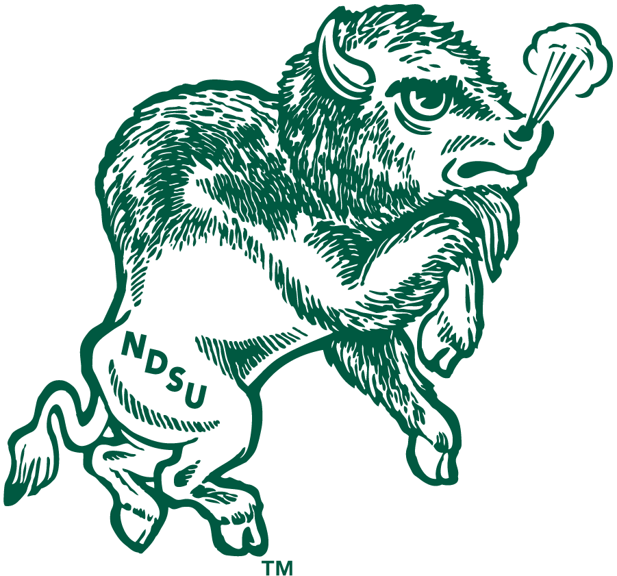 North Dakota State Bison 1972-1999 Primary Logo t shirts iron on transfers